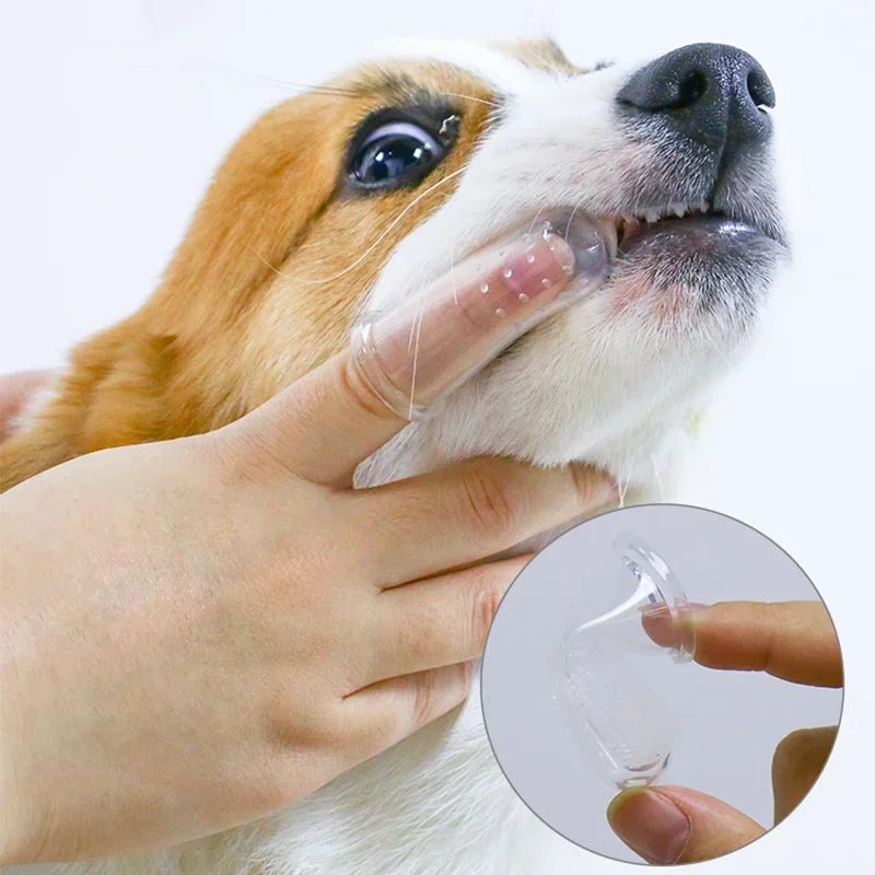 Escova de Dentes Super Macia para Pets